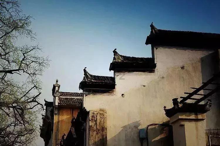 小锯鳄卡丁车竞赛