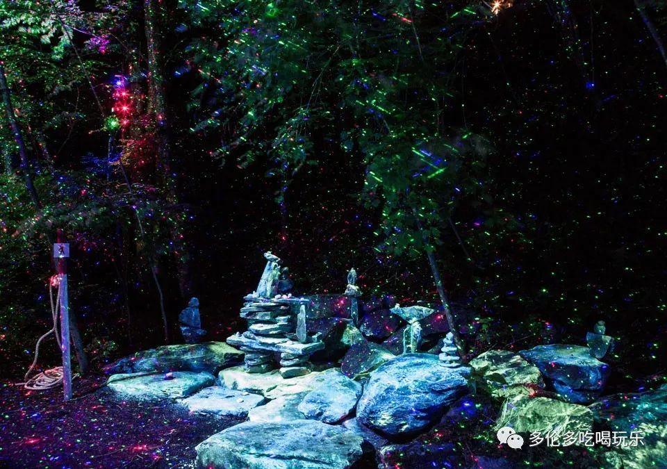 奥日与黑暗森林
